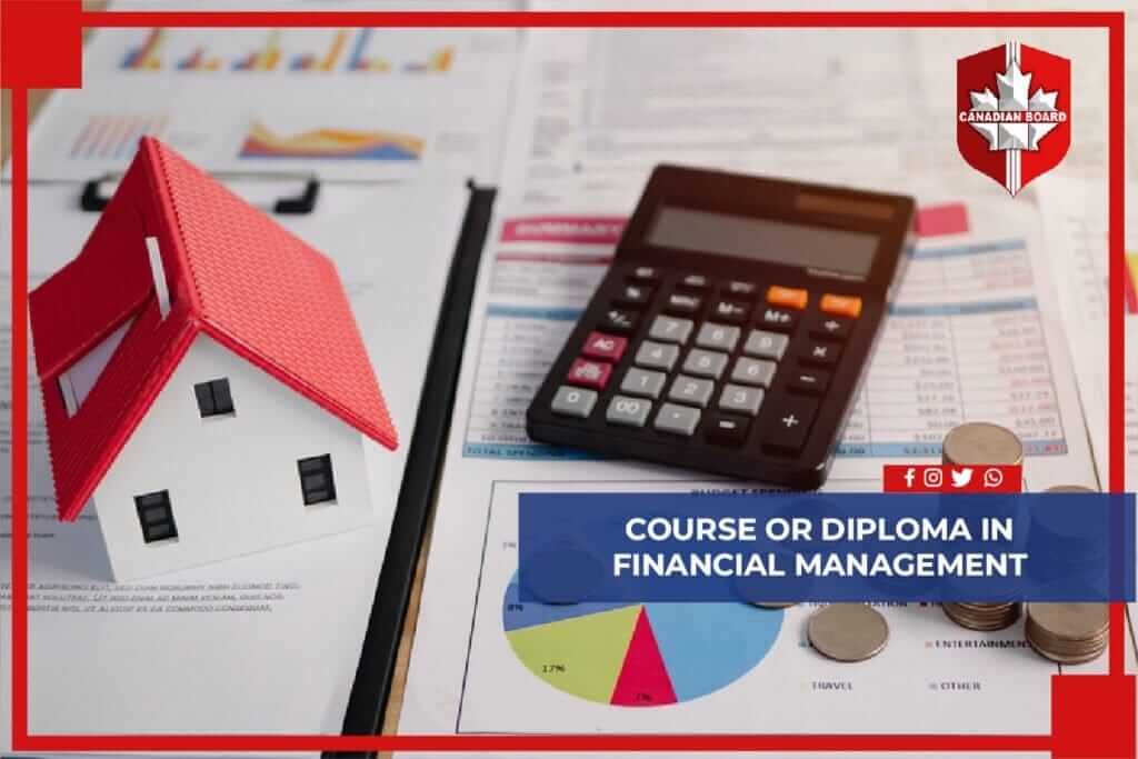 Financial Accounting Program.